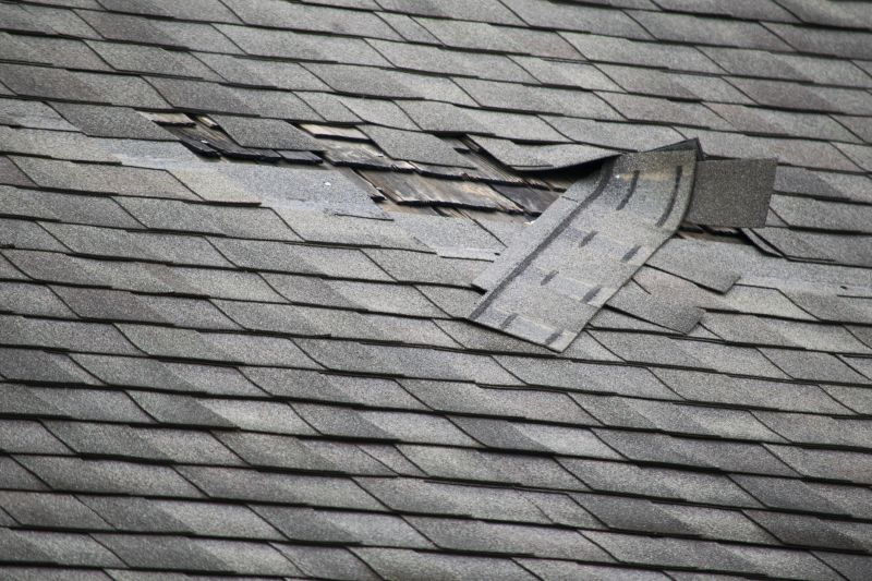 Asphalt Roof Repair - Damaged Shingles