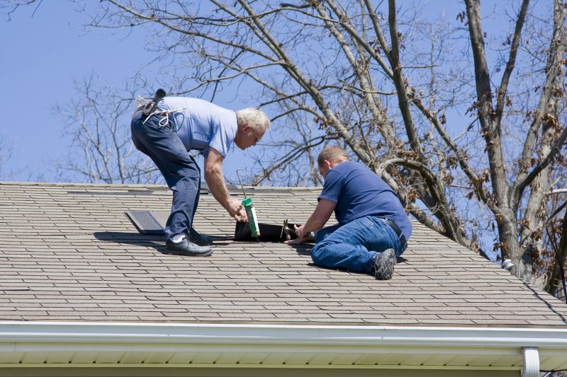 Professional Asphalt Roof Repair - Inspection